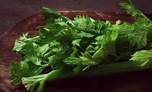Fresh Celery Prints: Fresh bunch of celery, top view
