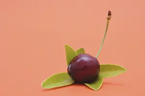 Fresh Cherry Prints: Fresh cherry