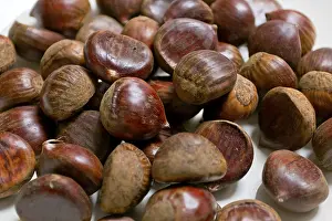 Still Life Studio Photography Prints: Fresh chestnuts