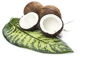 Fresh Fruit Plant Prints: Fresh coconuts and green tropical leaf