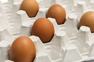 Fresh Eggs Prints: Fresh eggs in the package