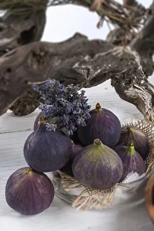 Fig Fruit Nutrition Prints: Fresh figs