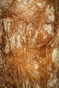 Bread Photography Still Life Prints: Fresh whole grain bread, rye, top view