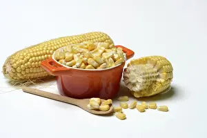 Fresh Corn Prints: Fresh maize kernels in pots and cobs