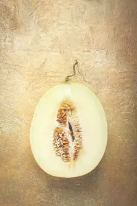 Healthy Eating Fruit Prints: Fresh melon in section, half melon