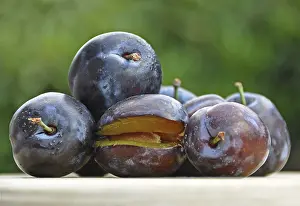 Healthy Eating Fruit Prints: Fresh plums