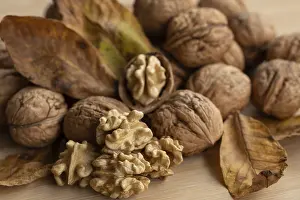 Central European Walnuts Prints: Fresh walnuts from Germany