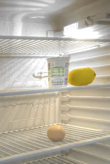 Balanced Diet Plan Prints: Almost empty fridge
