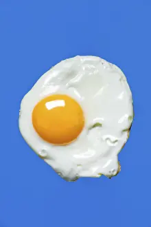 Studio Shot Of Egg Prints: Fried egg