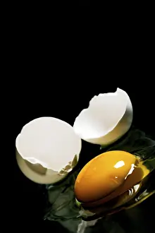 Fried Egg Photography Prints: Fried egg