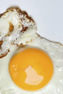 Close Up Fried Egg Prints: Fried egg, fried egg