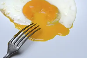 Chicken Egg Nutrition Facts Prints: Fried egg, fried egg with fork