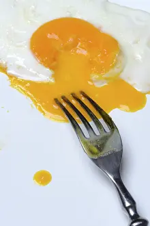 Egg Yolk Nutrition Prints: Fried egg, fried egg with fork