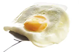 Fried Egg Nutrition Prints: Fried egg on a spatula