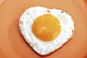Fried Egg, Sunny Side Up Print