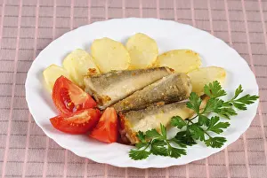 Food Photography Studio Background Prints: Fried fish and potato dinner on the table
