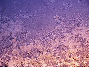 Czech Republic Winter Scenes Prints: Frost patterns