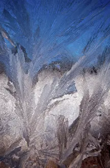 German Federal Republic Frost Prints: Frostwork on window, Germany