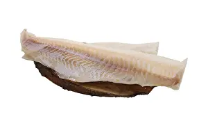 Prints of Frozen fillet of cod isolated on white background Atlantic Cod Prints: Frozen Cod Fillet Print Isolated on White Background