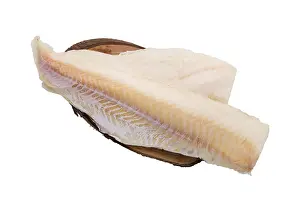 Prints of Frozen fillet of cod isolated on white background Atlantic Cod Prints: Frozen Cod Fillet Print