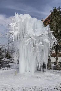 Prints of Frozen tree with long icicles, Malters, Lucerne, Switzerland Lucerne Prints: Frozen Tree with Long Icicles Print, Lucerne, Switzerland