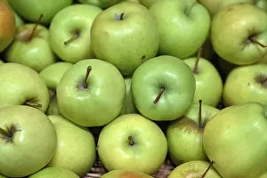 Symbolic Apple Image Prints: Fruit Apples