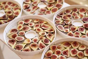 Exotic Fruit Nutrition Prints: Fruit drying process on plates. Close up