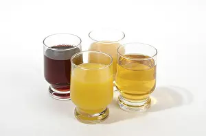 Citrus Fruit Drink Prints: Fruit juice