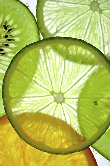 Citrus Fruit Slice Prints: Fruit slices