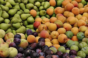 Colorful Fruits Prints: Fruits