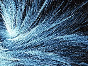 Computer Generated Background Prints: Fur or feather texture - abstract computer-generated image
