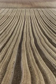 Field Cultivation Images Prints: Furrows