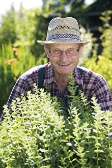 Gardener Portrait Prints: Gardener in herbal patch