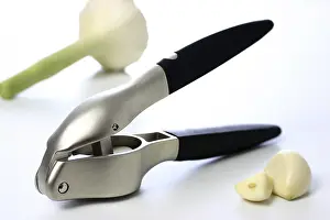 Kitchen Utensil Prints: Garlic