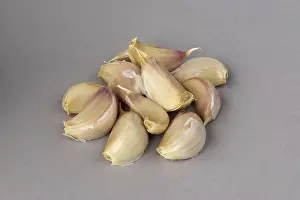 Garlic Bulb Prints: GARLIC
