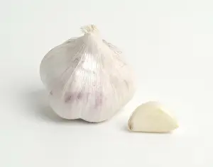 Healthy Eating Dishes Prints: Garlic