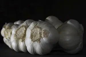 No People In Grocery Store Prints: Garlic Bulb