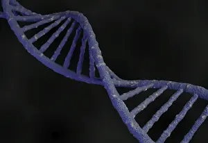 DNA Prints: 3D Rendered DNA Molecule Print