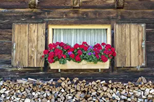 Tyrolean Unterland Landscape Prints: Geraniums in front of window of mountain hut