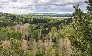 Central European Countryside Scenes Prints: Germany, Greiz, Thuringia, Weidatal