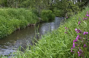 European River Landscapes Prints: Germany, Greiz, Thuringia, Weidatal