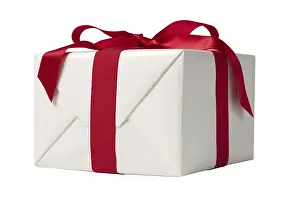 Decorative Box Prints: Gift Box