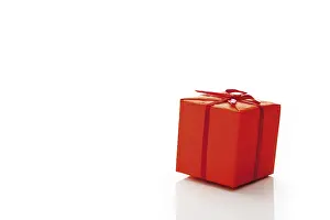 Studio Photography Prints: Gift parcel, present