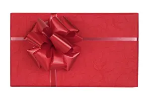 Birthday Present Box Prints: Gift Wrapped Present