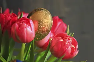Eastern Germany Landmarks Prints: Gilded Easter Egg, Dresden, Saxony