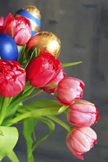 Studio Shot Of Easter Eggs Prints: Gilded Easter eggs, tulips, studio shot