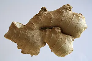 Fresh Ginger Prints: Ginger