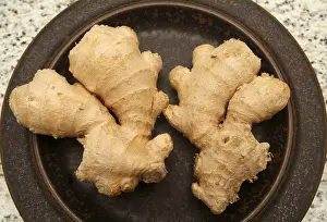 Ginger Spice Prints: Ginger