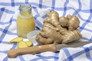 Ginger, Ginger Root and Ginger Shot Print