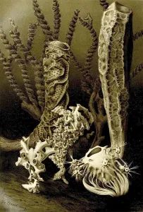 Marine Animal Illustration Prints: Glass (Hexactinellida) sponge, a class from the phylum